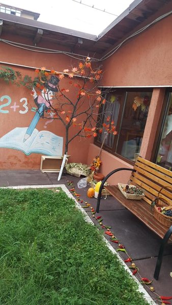 Mini Me - Cresa - Gradinita - Afterschool